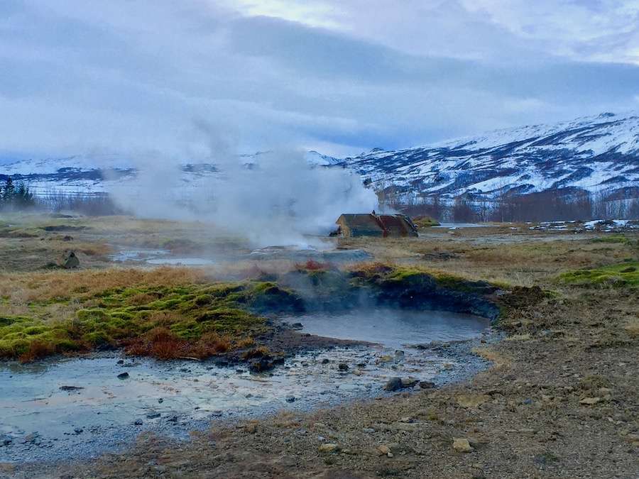 Geysir in Iceland surrounded by green grass with snowy hills in the background.