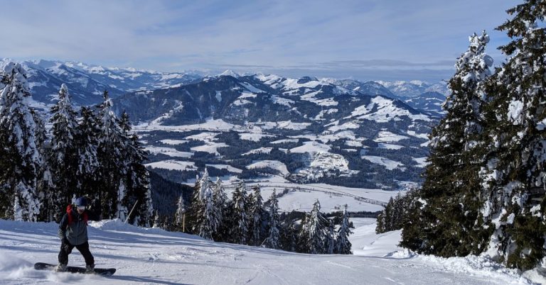 A snowboarder in the corner of a photo showing a downhill ski/board field with pine trees on the sides and more snowy mountains in the distance.
