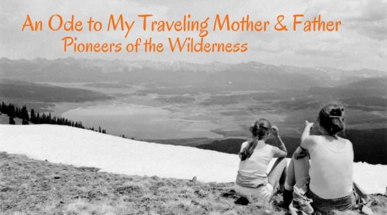 An ode to my Traveling Mother Wandering Chocobo
