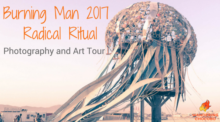 Burning Man Photography Art Radical Ritual 2017 Wandering Chocobo