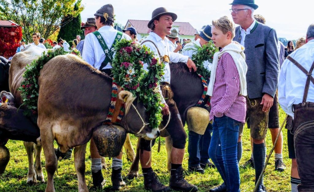People in a mix of lederhosen and regular clothing standing around cows with bells around their necks and floral crowns.