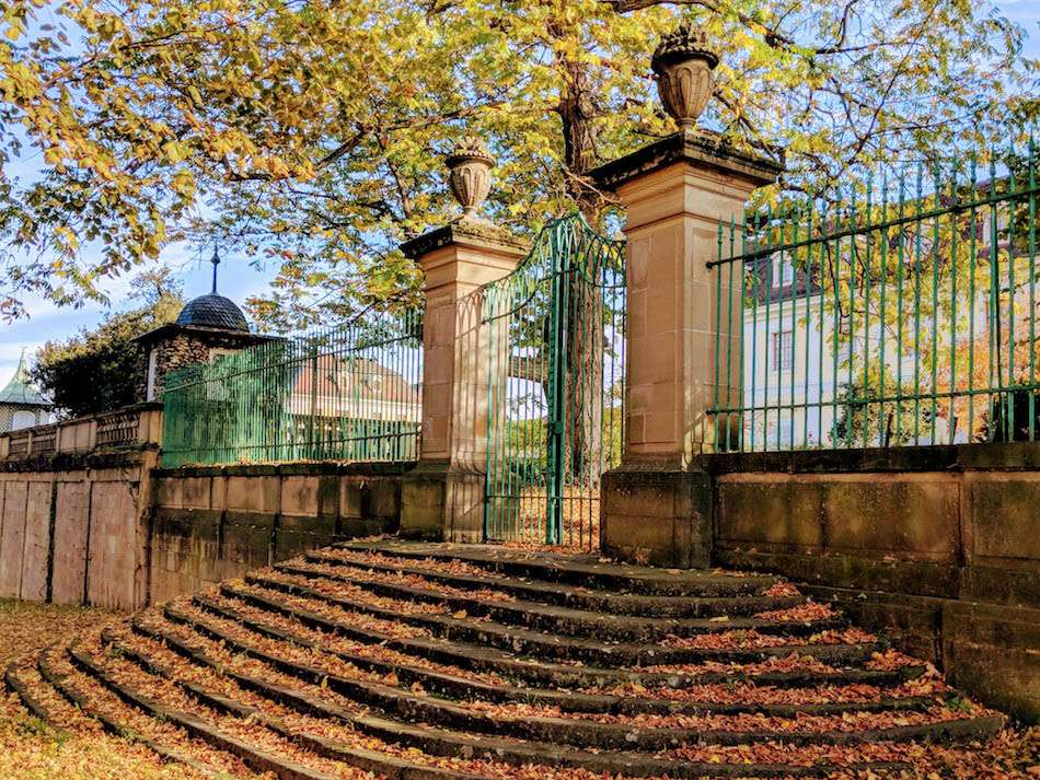 A fancy iron gate with large columns and steps leading up with autumn leaves all over the stairs.