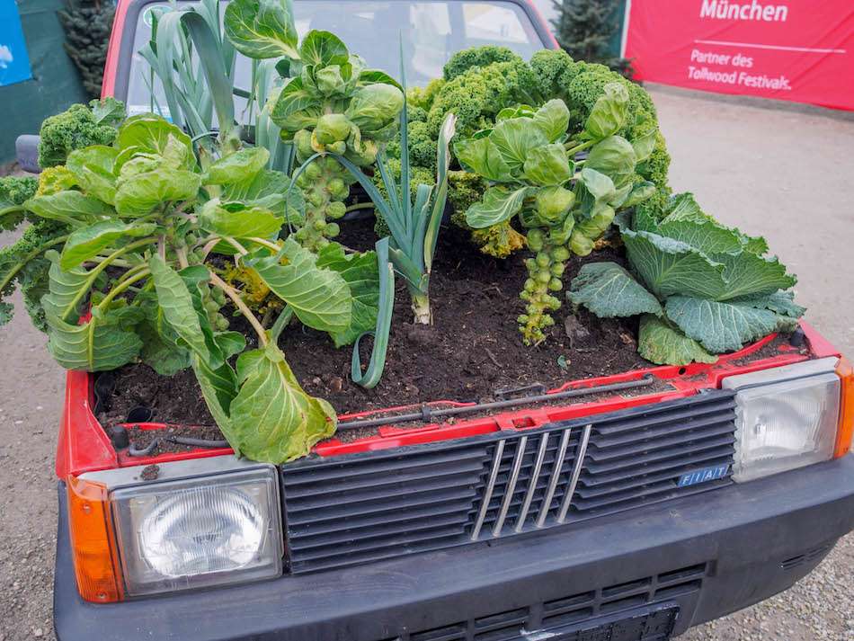 plants growing out of a car Tollwood Winter Festival