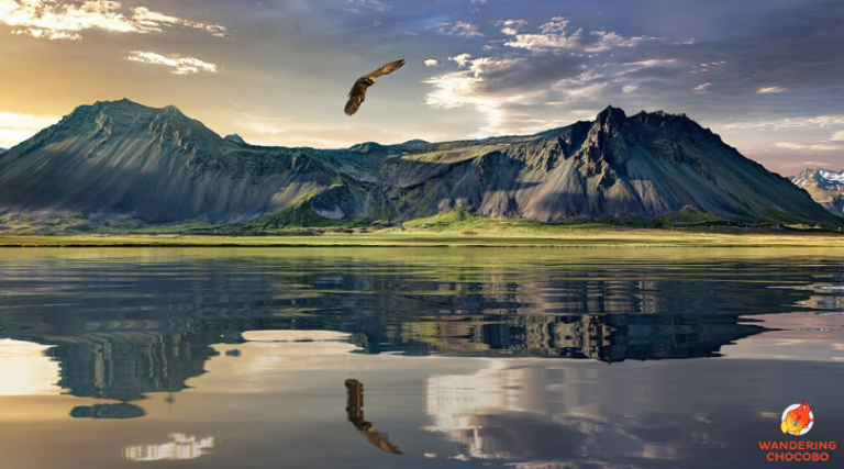 What to pack for new zealand sustainable travel essentials and photography gear