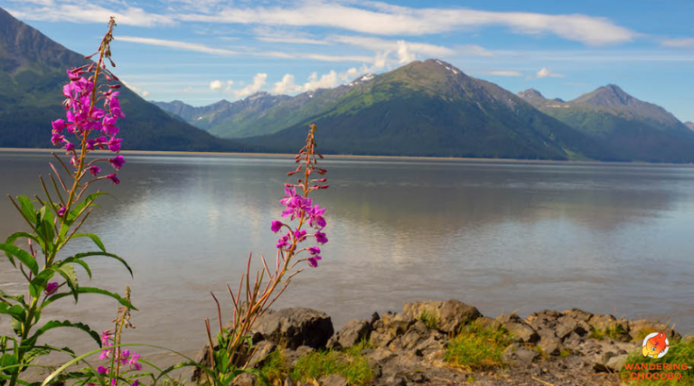 Alaska What I miss What I don't Miss