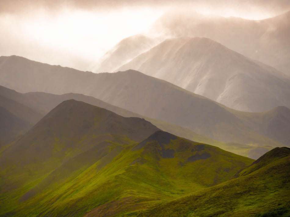 Denali National Park Alaska