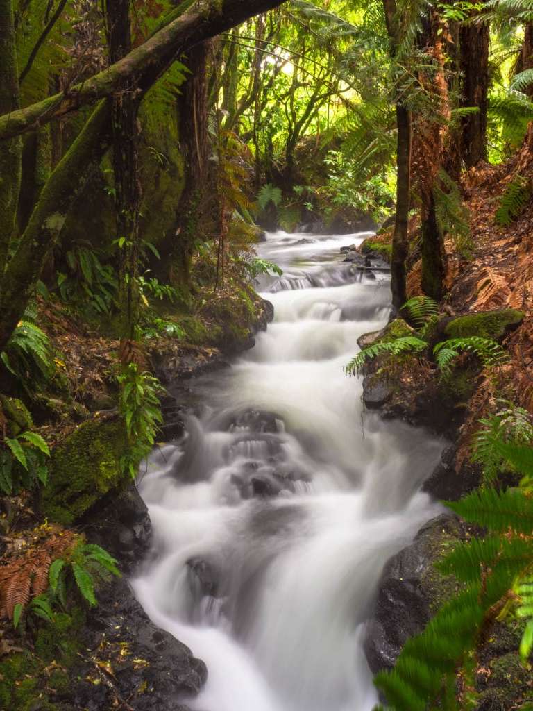 New Zealand Photography waterfall