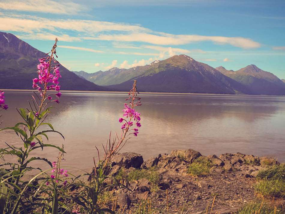 alaska turnagain arm