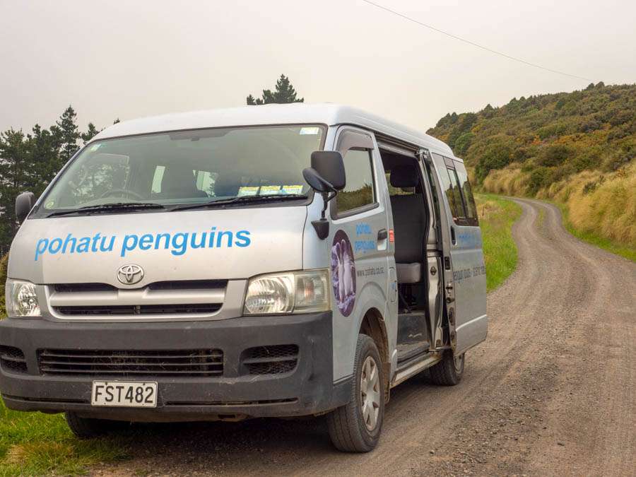 Pohatu Penguins Tour Akaroa New Zealand