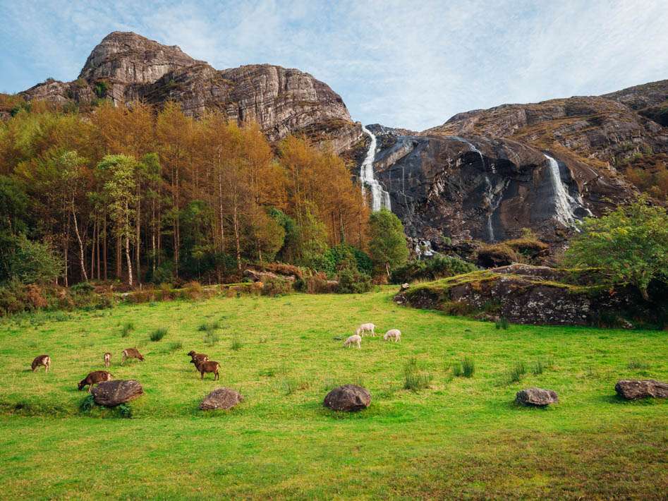 Gleninchiquin Park Ireland