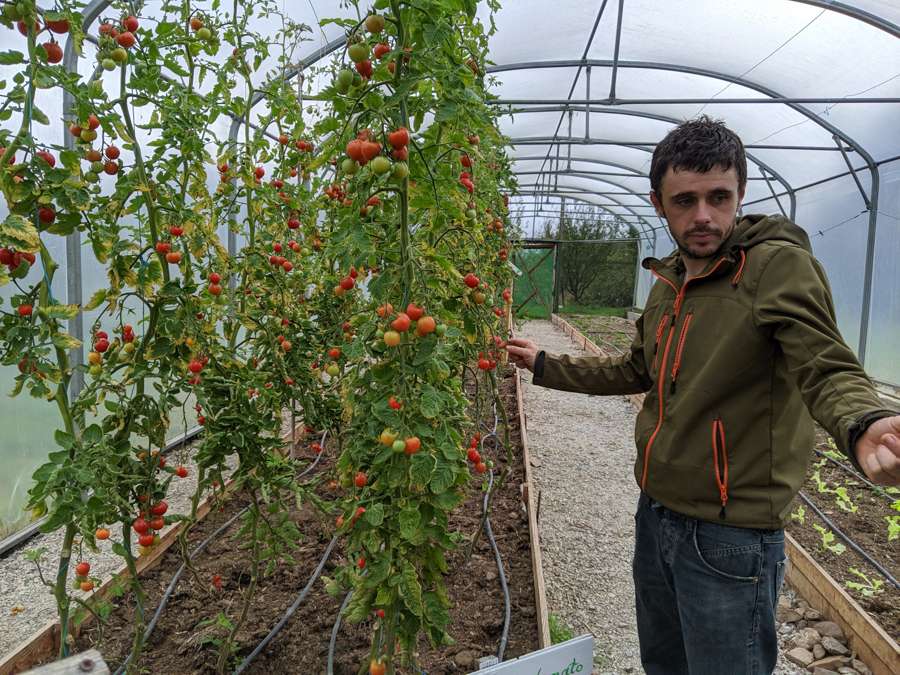 Irish Seed Savers