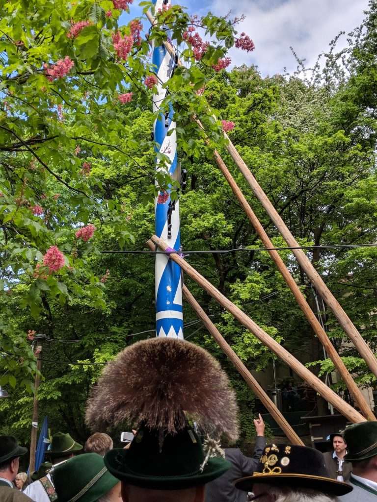 Augustiner Maypole raising in Munich