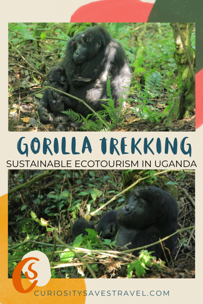 Gorilla Trekking Uganda Sustainable Ecotourism