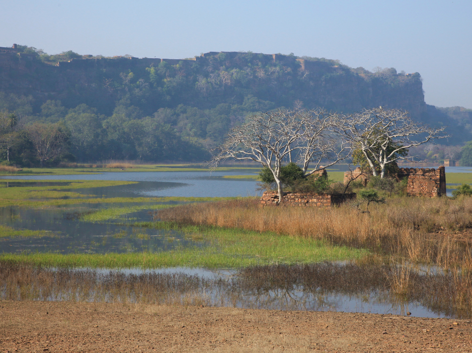 Ruined building on a flood plain in India's National Parks