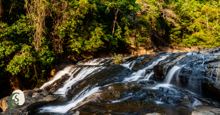 water running down rocks with trees in the background