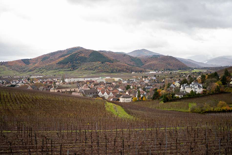 Riquewihr Alsace France with vineyards