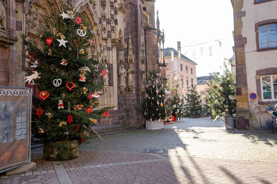 Thann Christmas market christmas trees