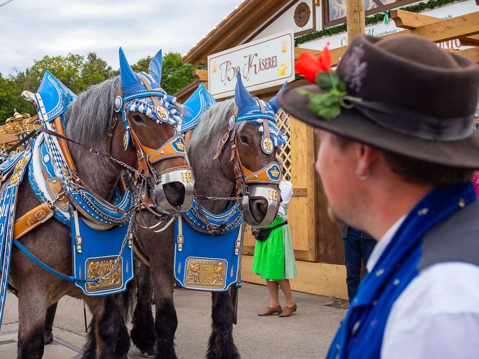 Oide Wiesn cultural event