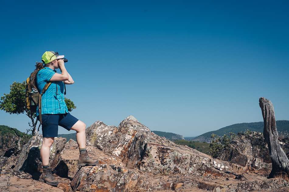 Monfragüe National Spain Bird Watching Spain
