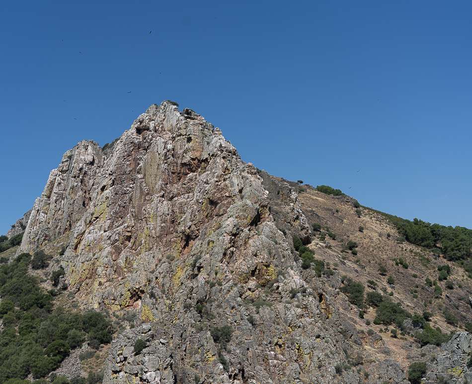 Monfrague National Park Mirador del Salto mountain view 