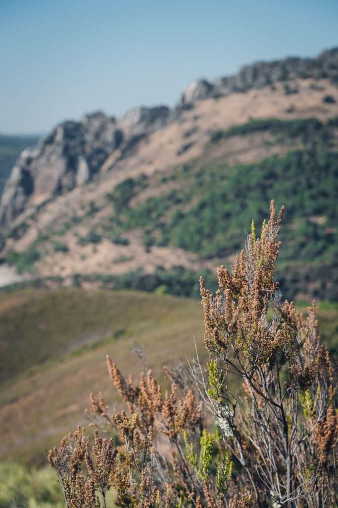 Monfrague National Park Spain