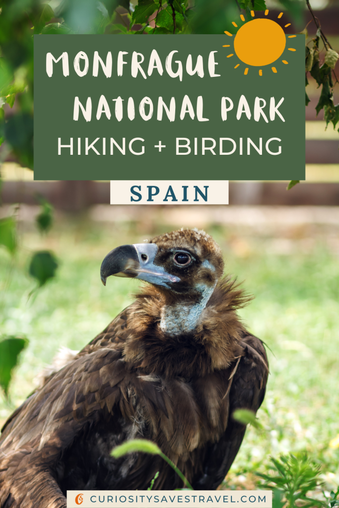 guide to Monfrague national park spain birding and hiking