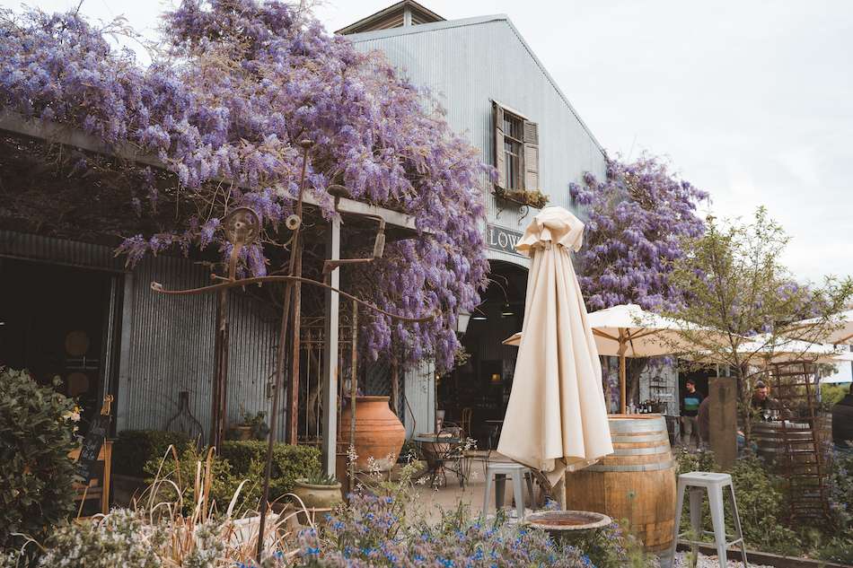 Lowe Family Wines 