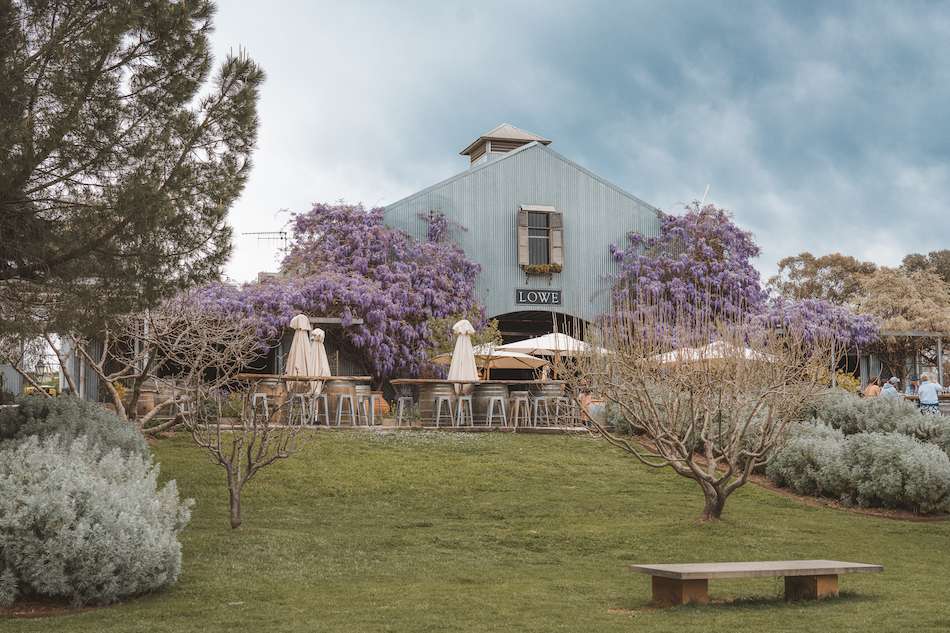 Lowe Family Wine Co and Tinja Farms Best winery in Mudgee