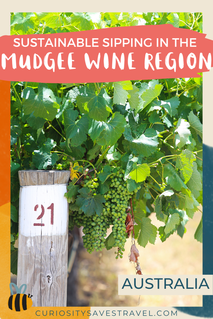 Mudgee Wine Region best itinerary for wine tasting