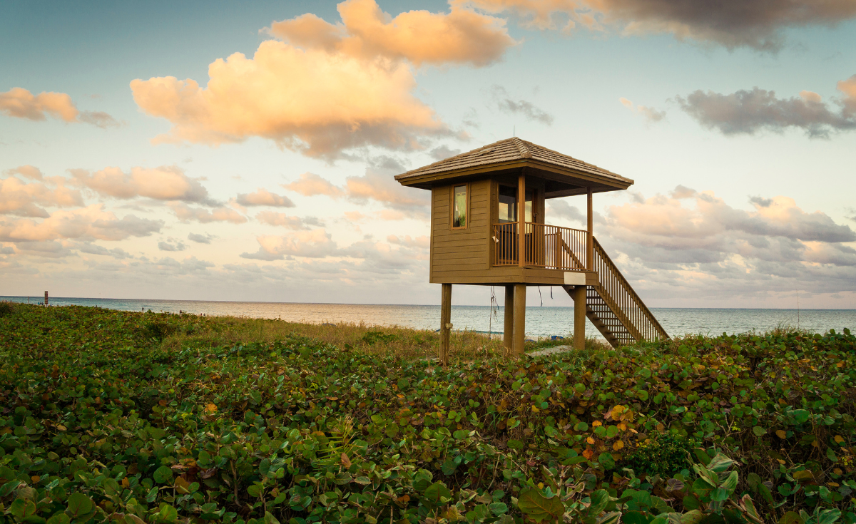 Lifeguard stand and vegetation at Delray Beach Florida blue flag