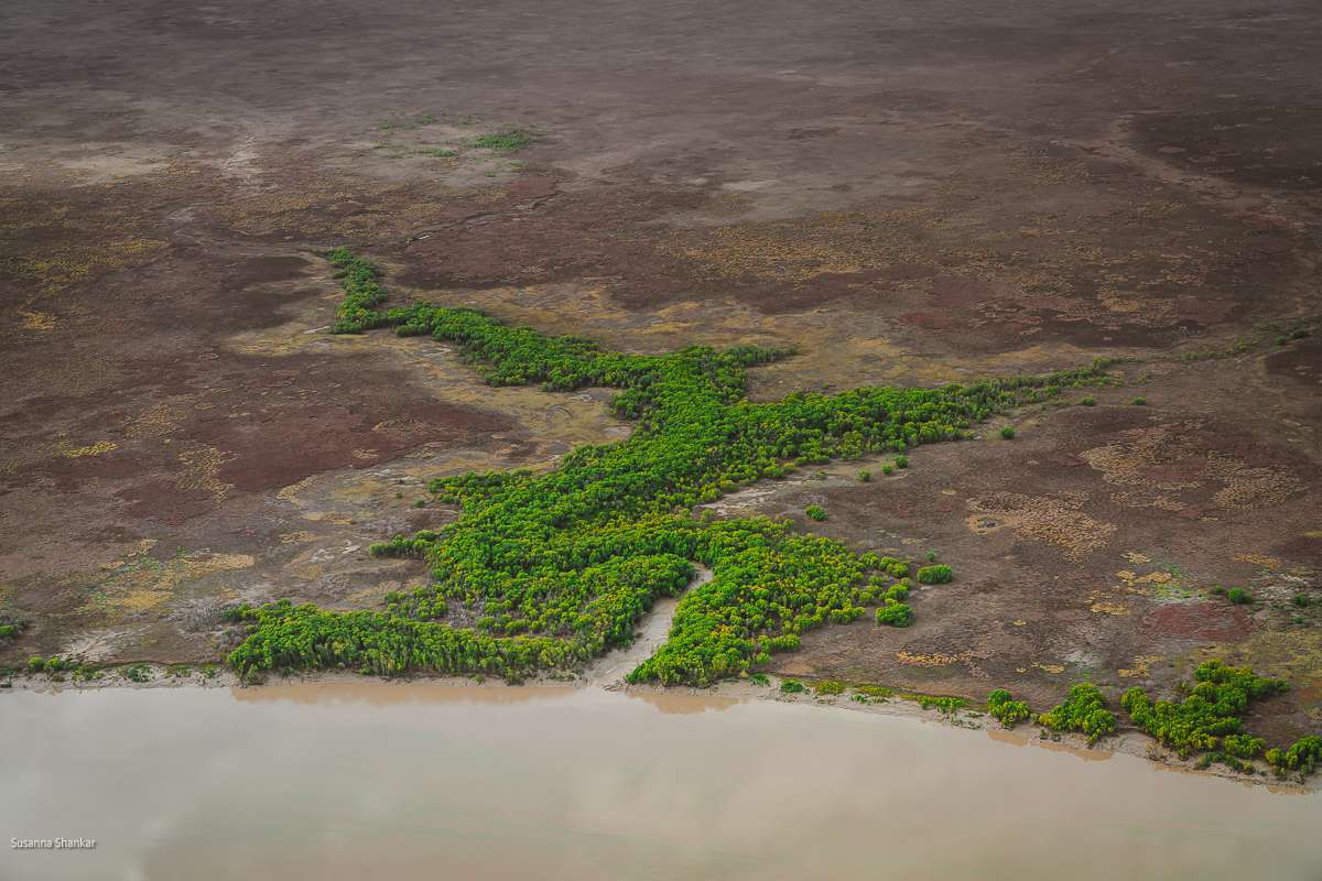 Aerial view of East Alligator River in Kakadu