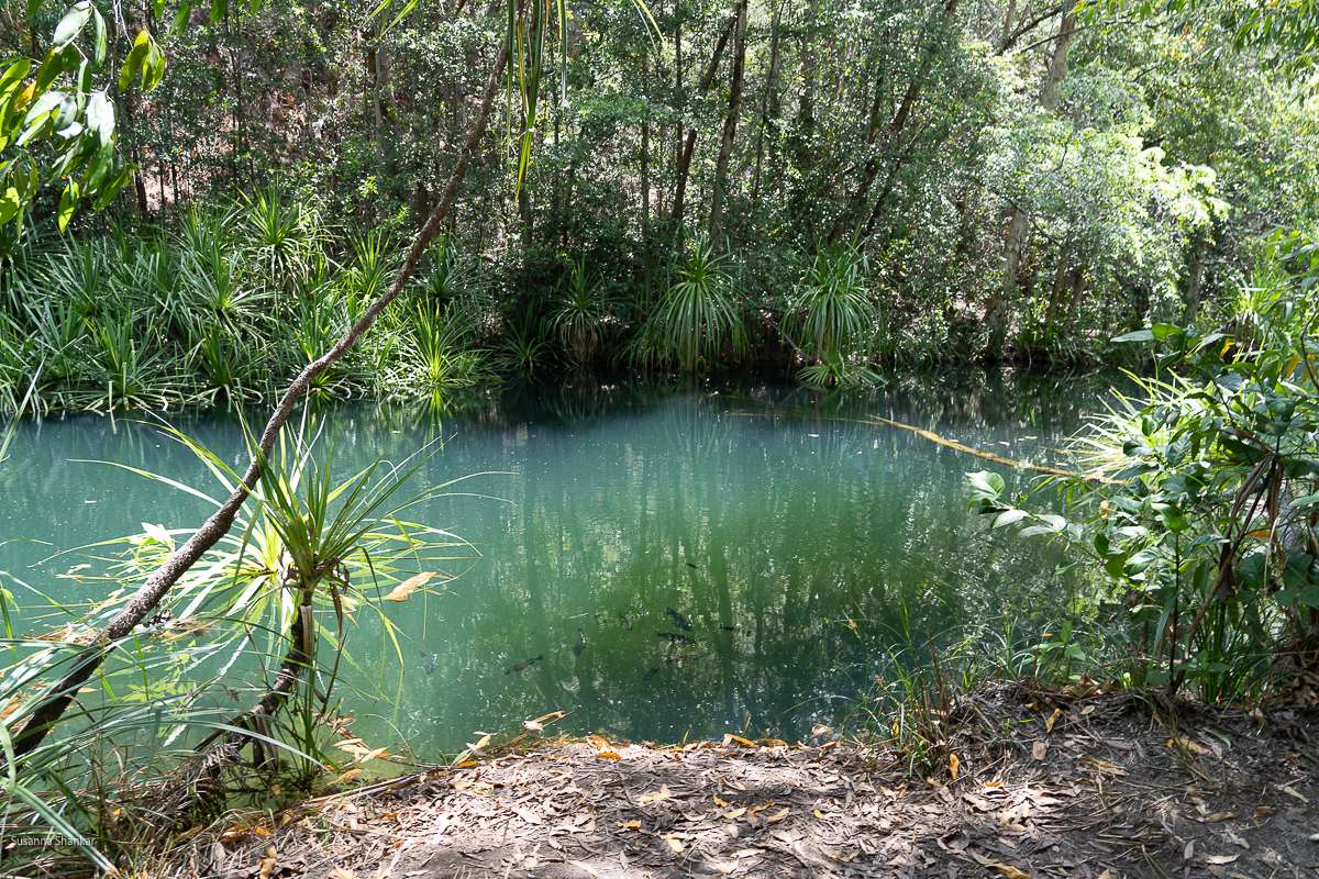 Maguk billabong in Kakadu
