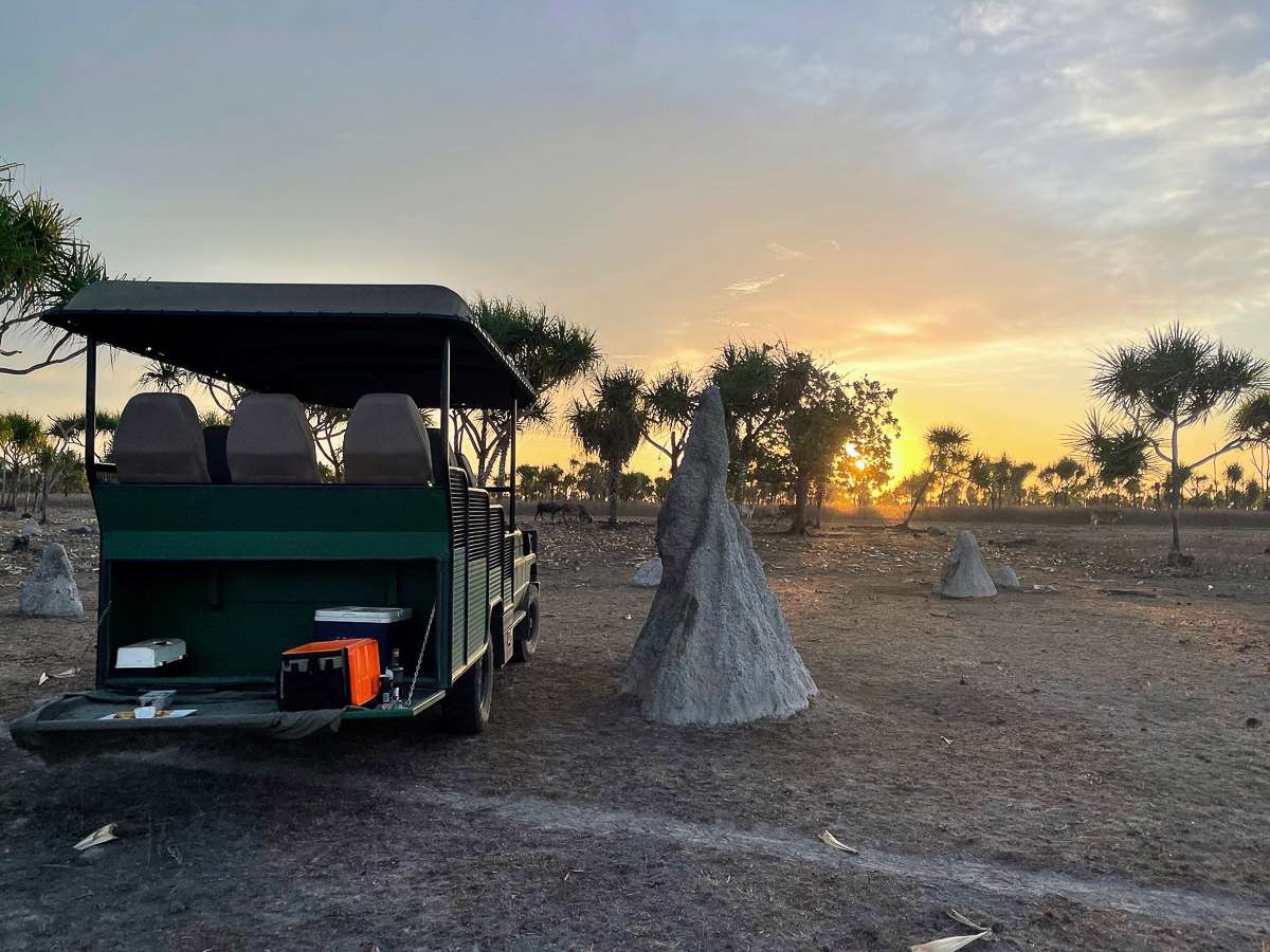 Safari Bamurru Plains