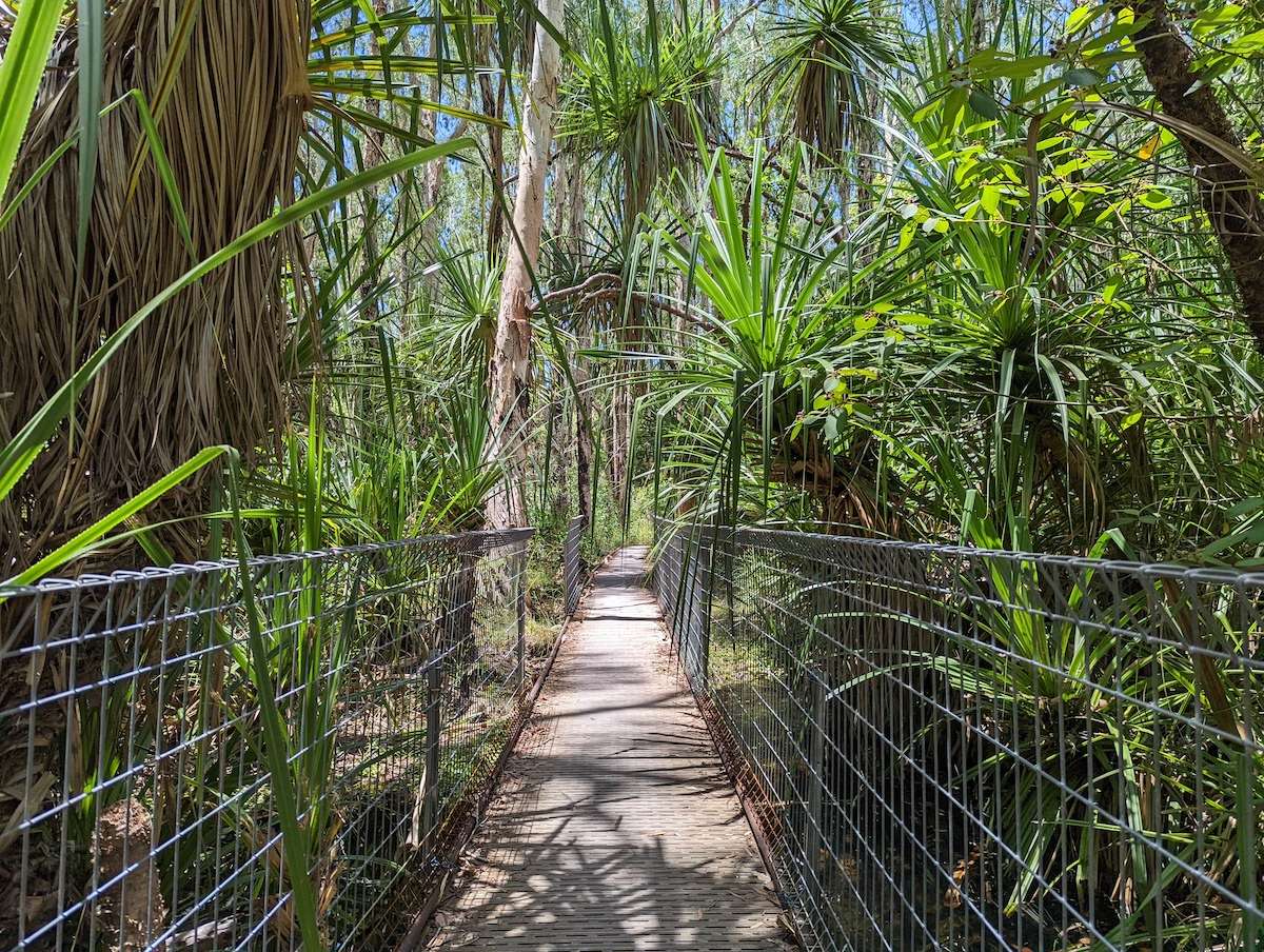 Maguk Billabong Hike in Kakadu