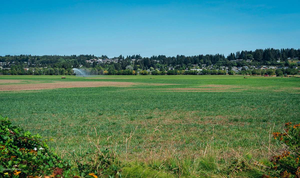 Farms in Comox Valley BC