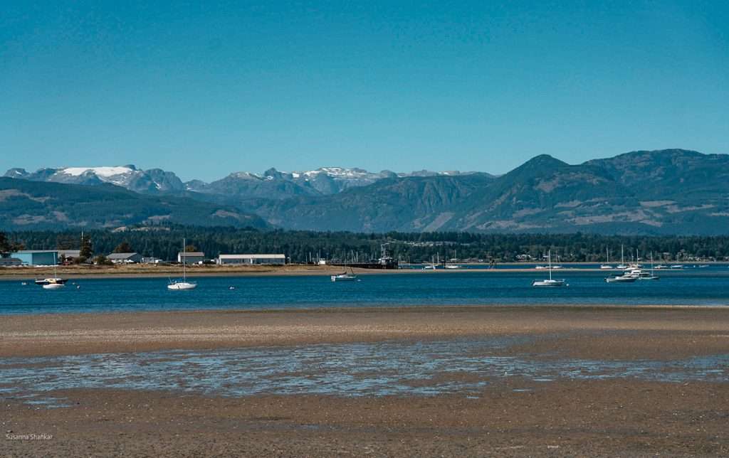 Comox Valley Goose Spit
