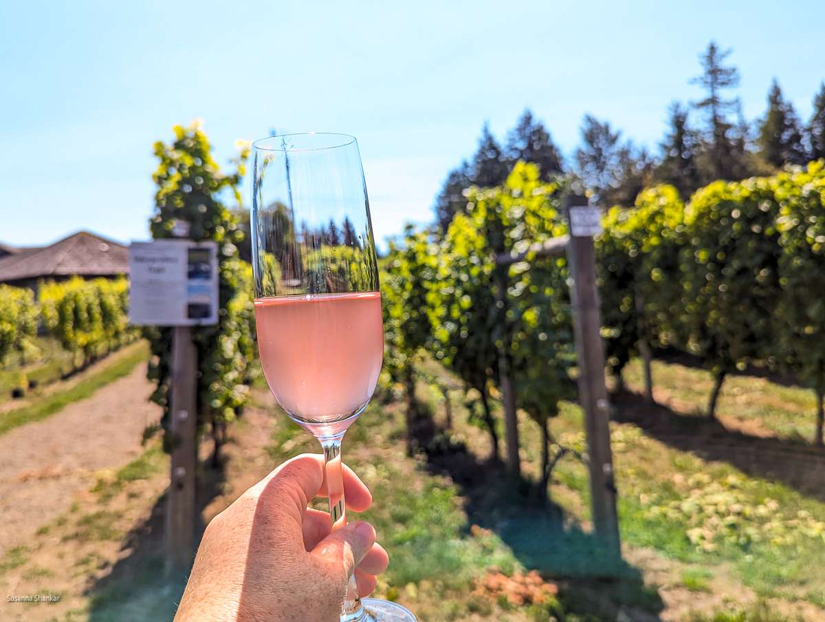40 Knots Wine Tasting in Comox Valley 