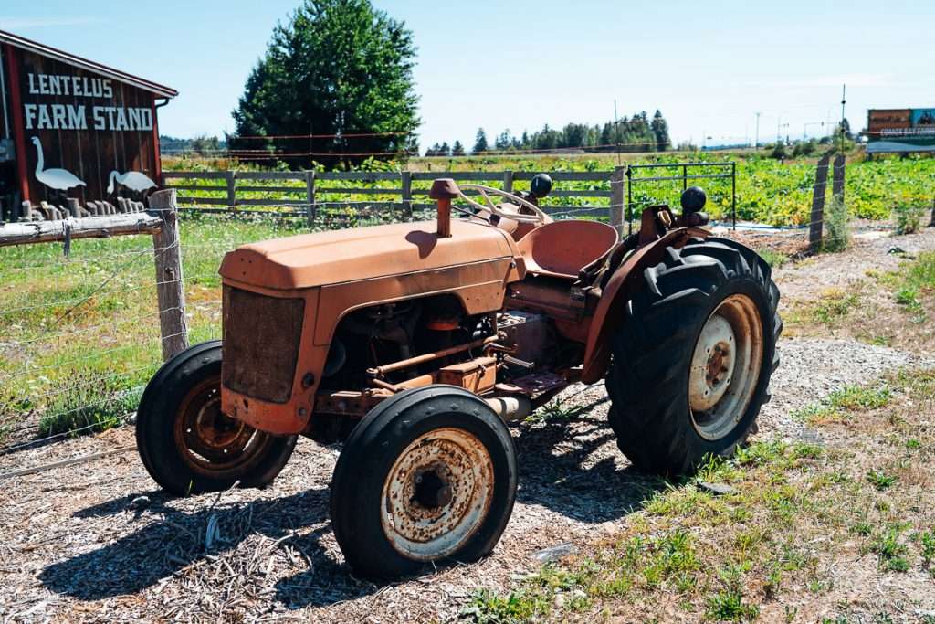 Agricultural Tourism in Comox Valley