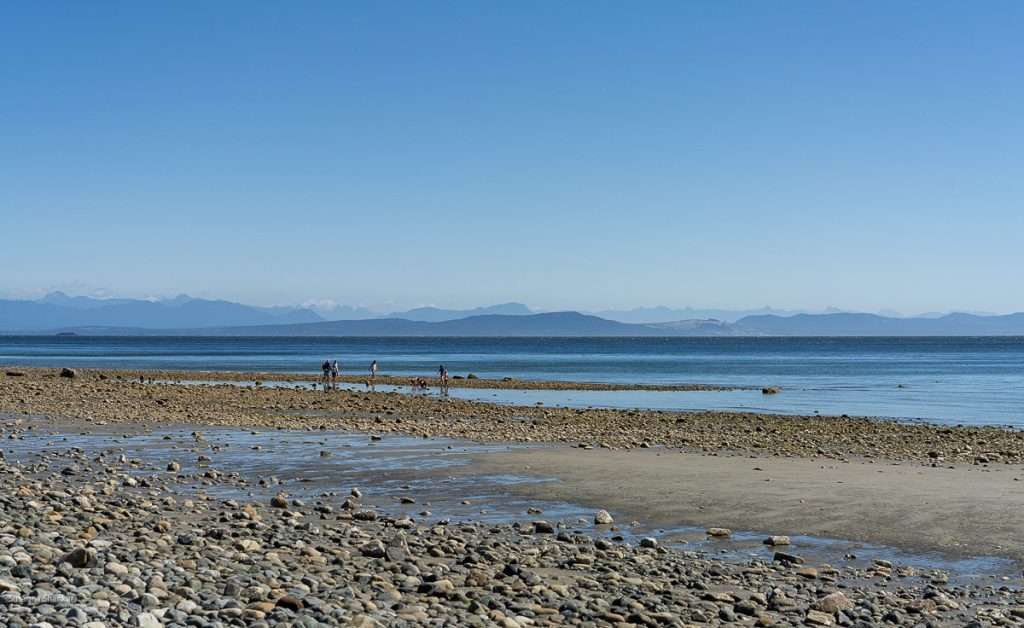 Goose Spit Beach Comox Valley Things to do Blog