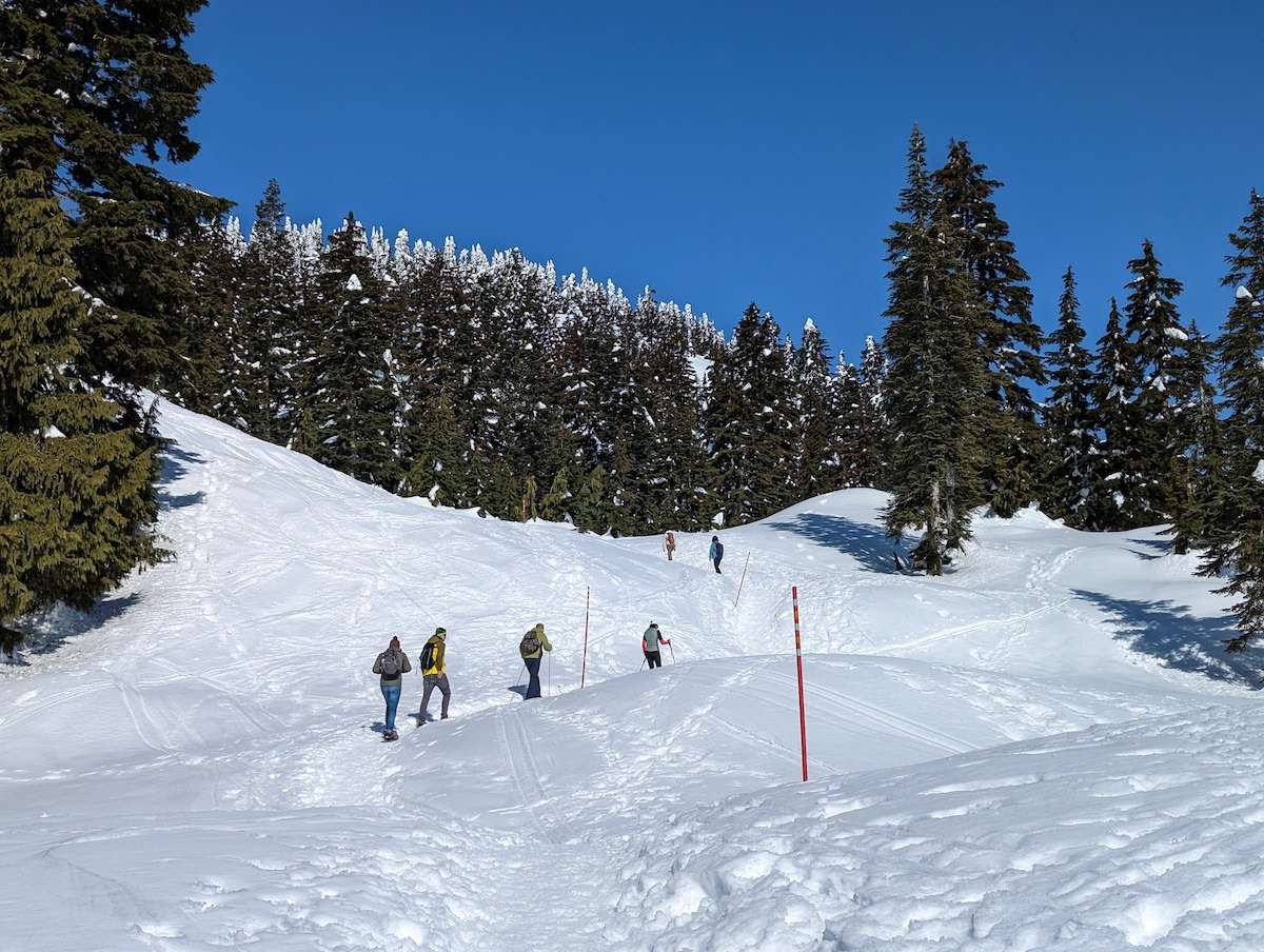 Snowshoeing at Cypress Vancouver Winter things to do