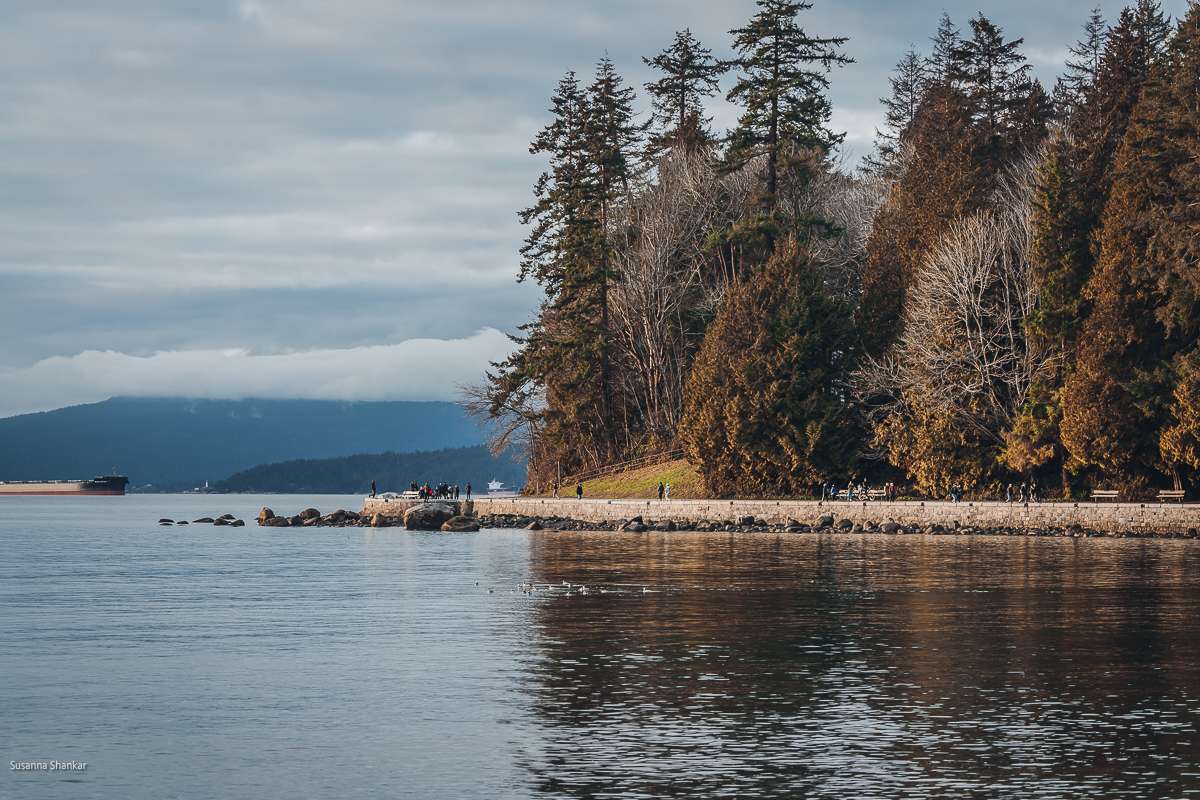 Vancouver sea wall in winter