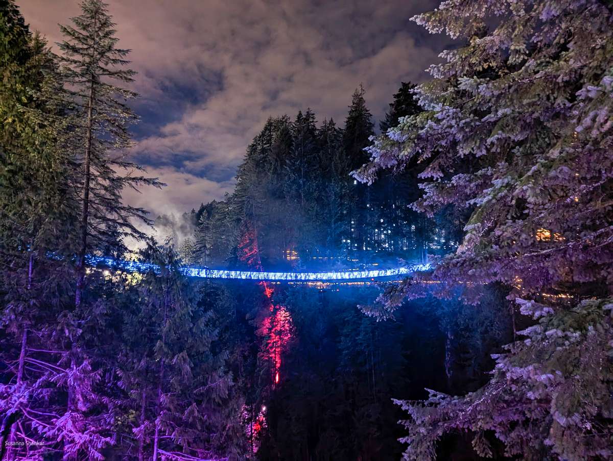 Capilano suspension bridge Canyon lights winter things in Vancouver