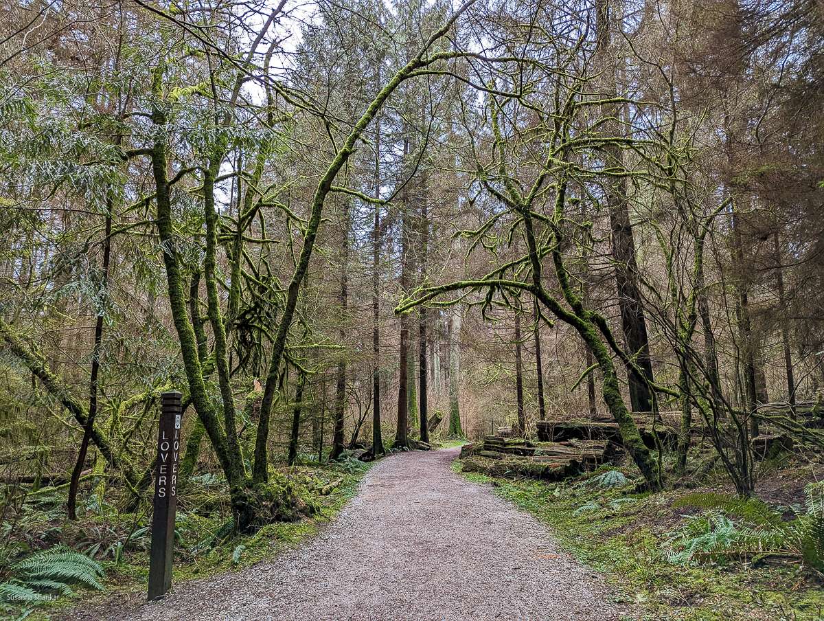 Stanley Park Canada