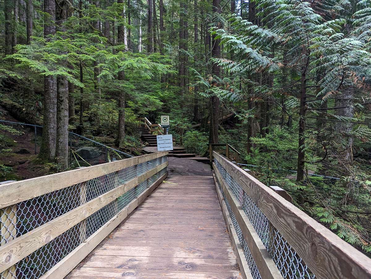 Lynn Canyon Vancouver