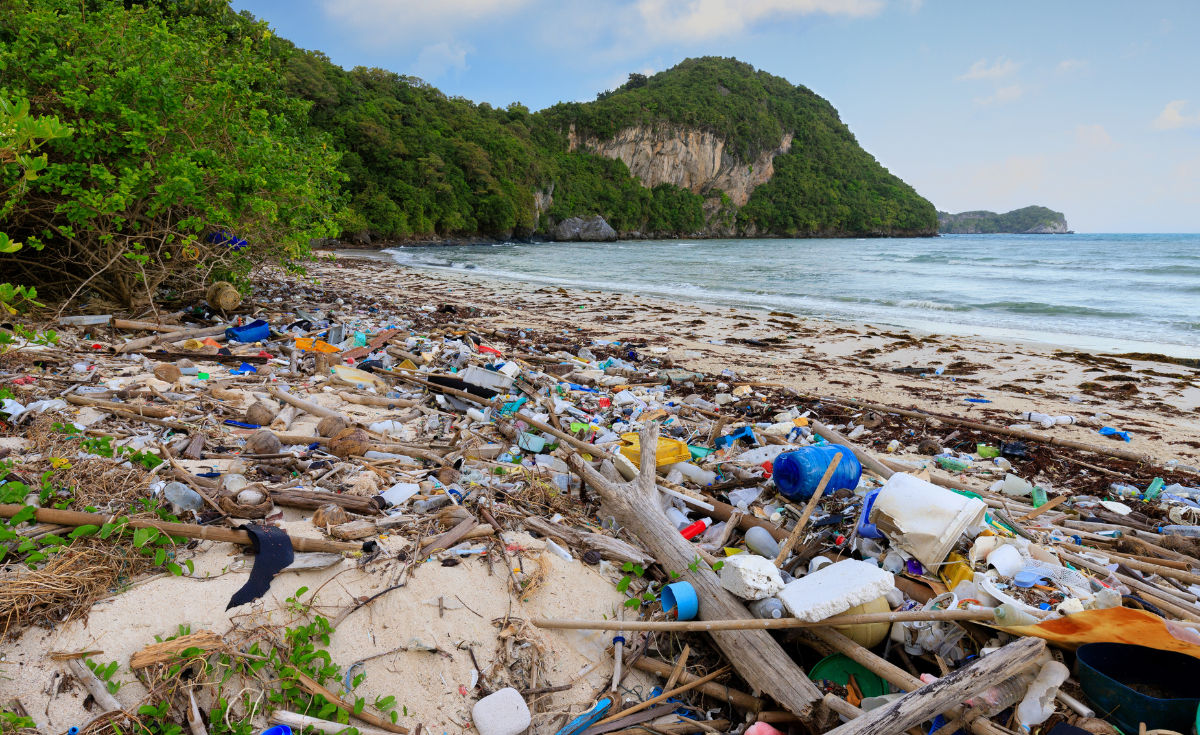 plastic pollution at the beach