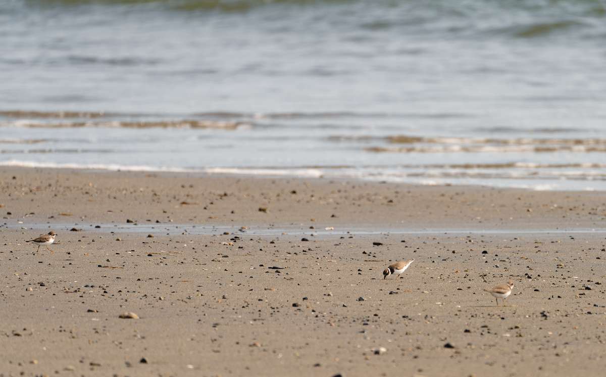 Sustainable beach tourism tips