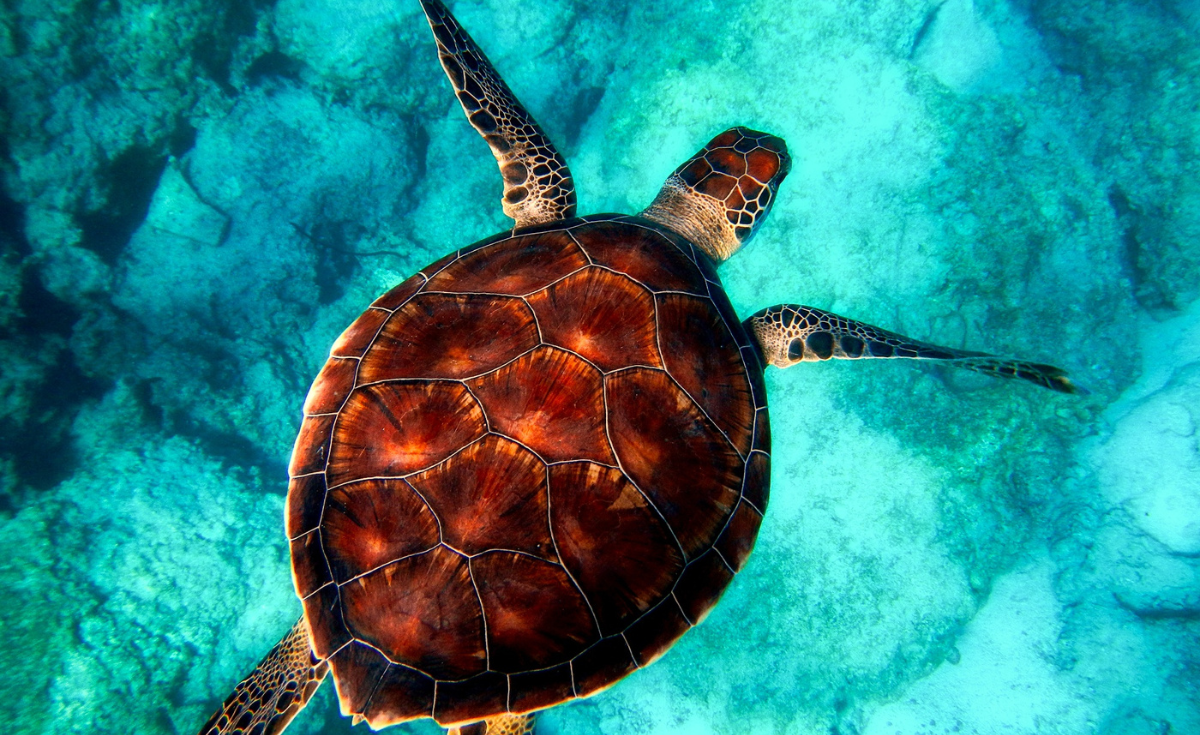 Sustainable Beach Tips