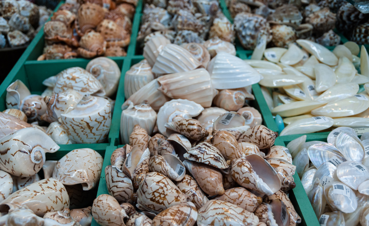 Sustainable Beach Tips Souvenirs