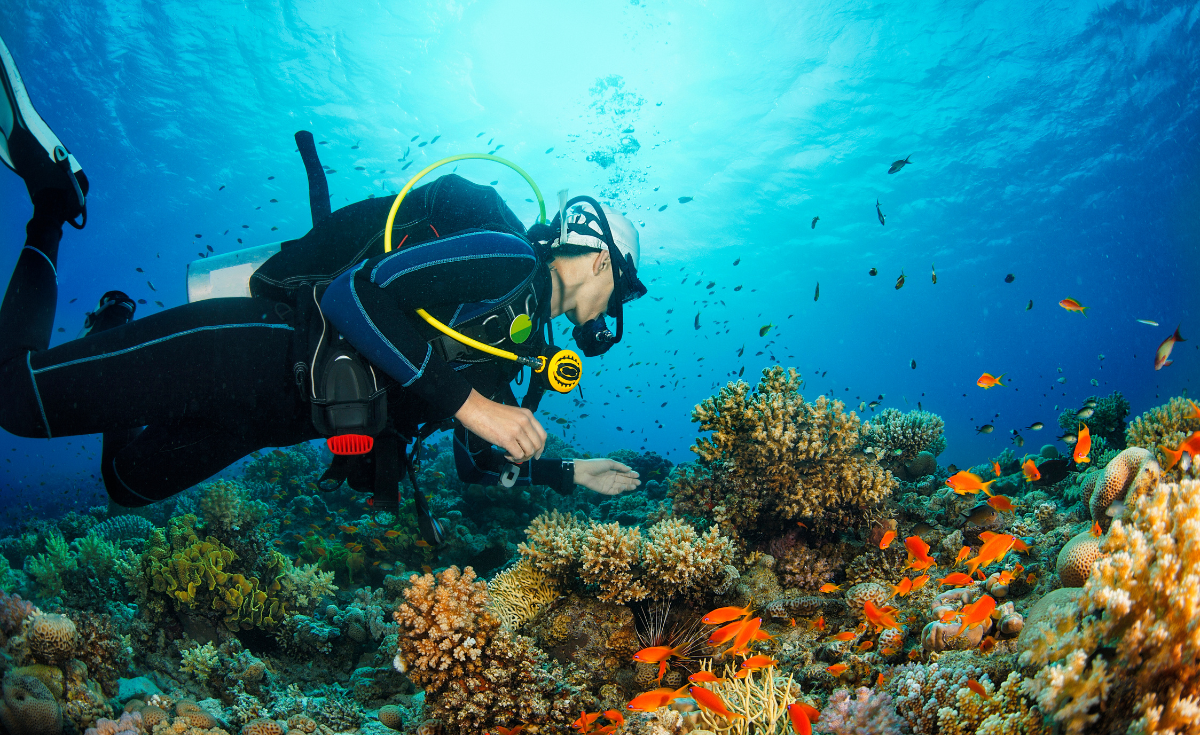 Sustainable Beach Tips SCUBA