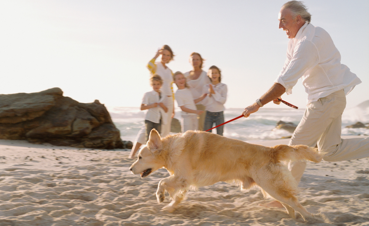 dogs at the beach